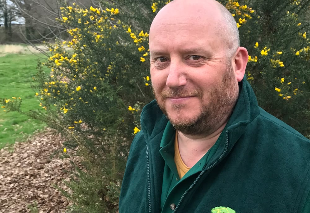 Is everything in the garden still rosy for Dave?